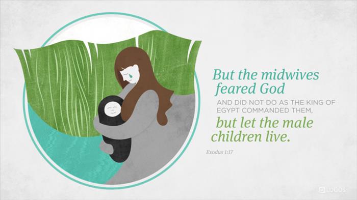Exodus 1:17 (ESV) - Exodus 1:17 ESV - But the midwives feared God… | Biblia
