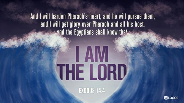Exodus 14:1–4 (ESV) - Exodus 14:1–4 ESV - Then the LORD said to… | Biblia