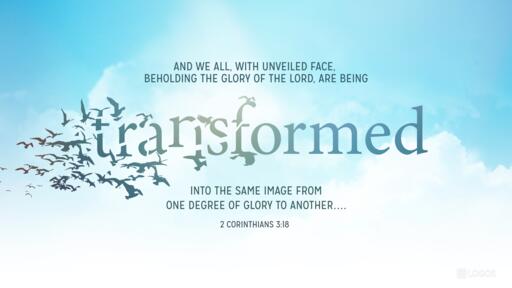 but we all with unveiled face nlt