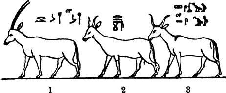 Altägyptische Darstellung der Antitlope oryx
