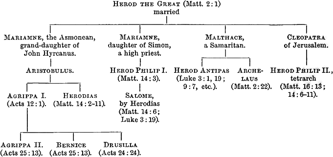 Genealogical Table of the Heeodian Family
