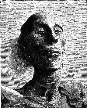 Mummy Head of Rameses II
