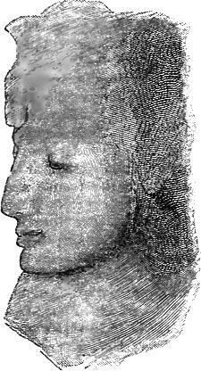 Head of Nefert-Ari
