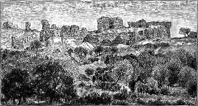 Ruins of Ashkelon
