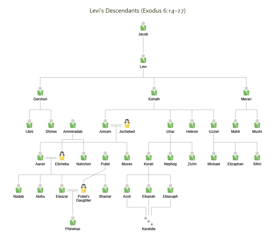 Levi’s Descendants
