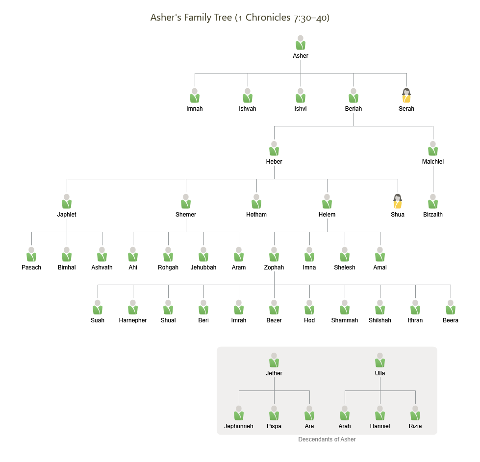 Asher’s Family Tree
