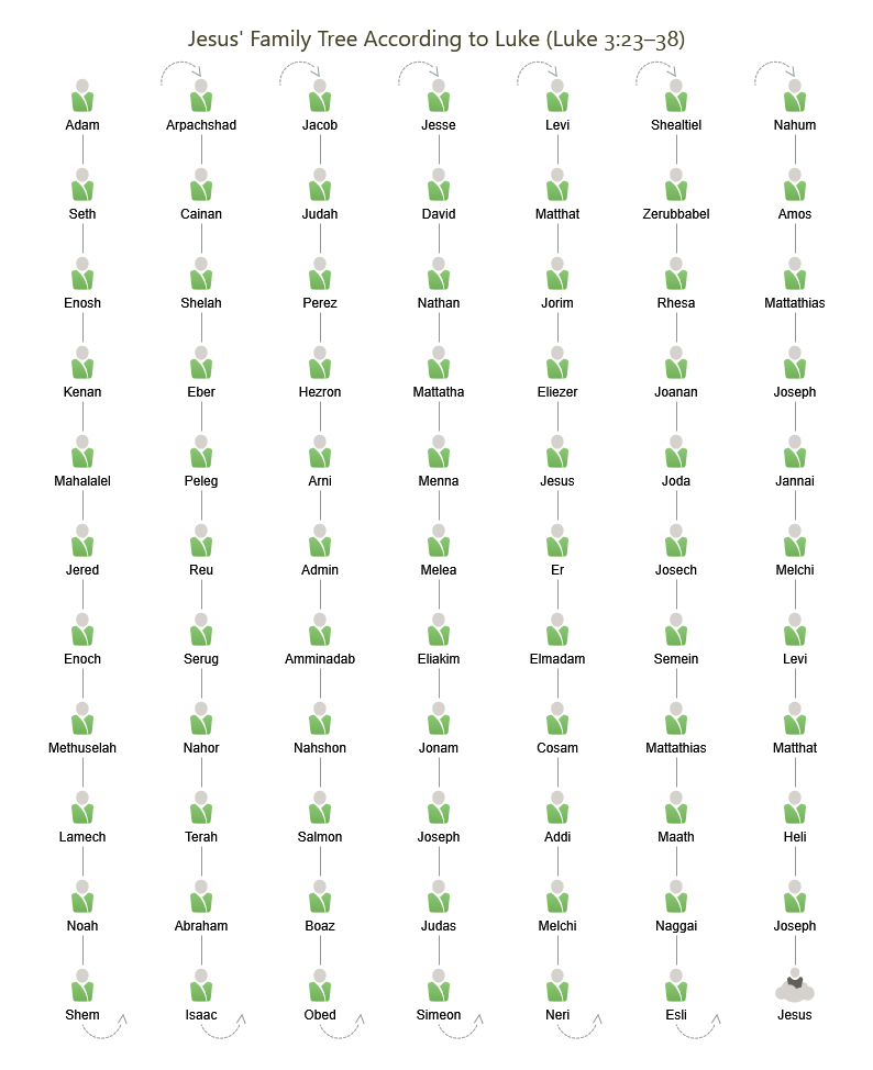 Jesus’ Family Tree according to Luke
