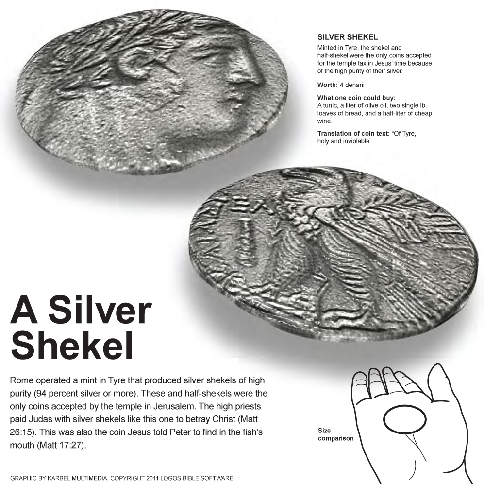 A Silver Shekel
