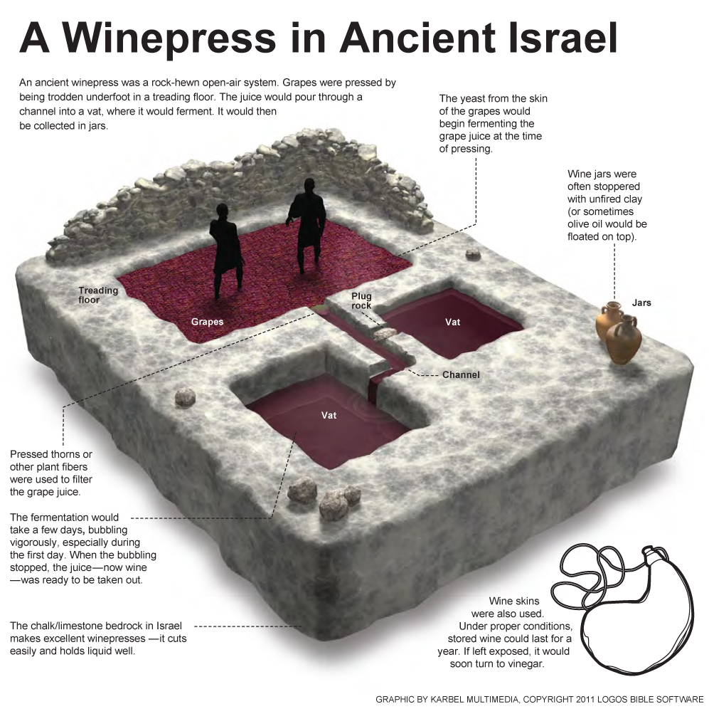 A Winepress in Ancient Israel
