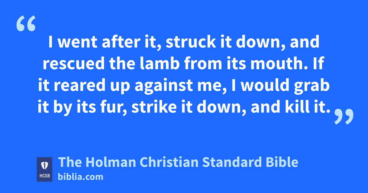 The Holman Christian Standard Bible (Biblia.com)