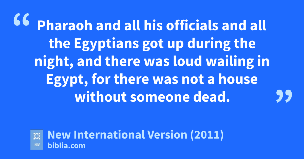 New International Version (2011) (Biblia.com)