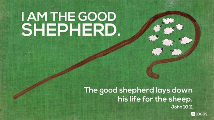 John 10:11–18 (ESV) - John 10:11–18 ESV - I am the good shepherd. The… |  Biblia