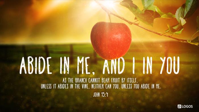 John 15:1–8 (ESV) - John 15:1–8 ESV - “I am the true vine, and my… | Biblia