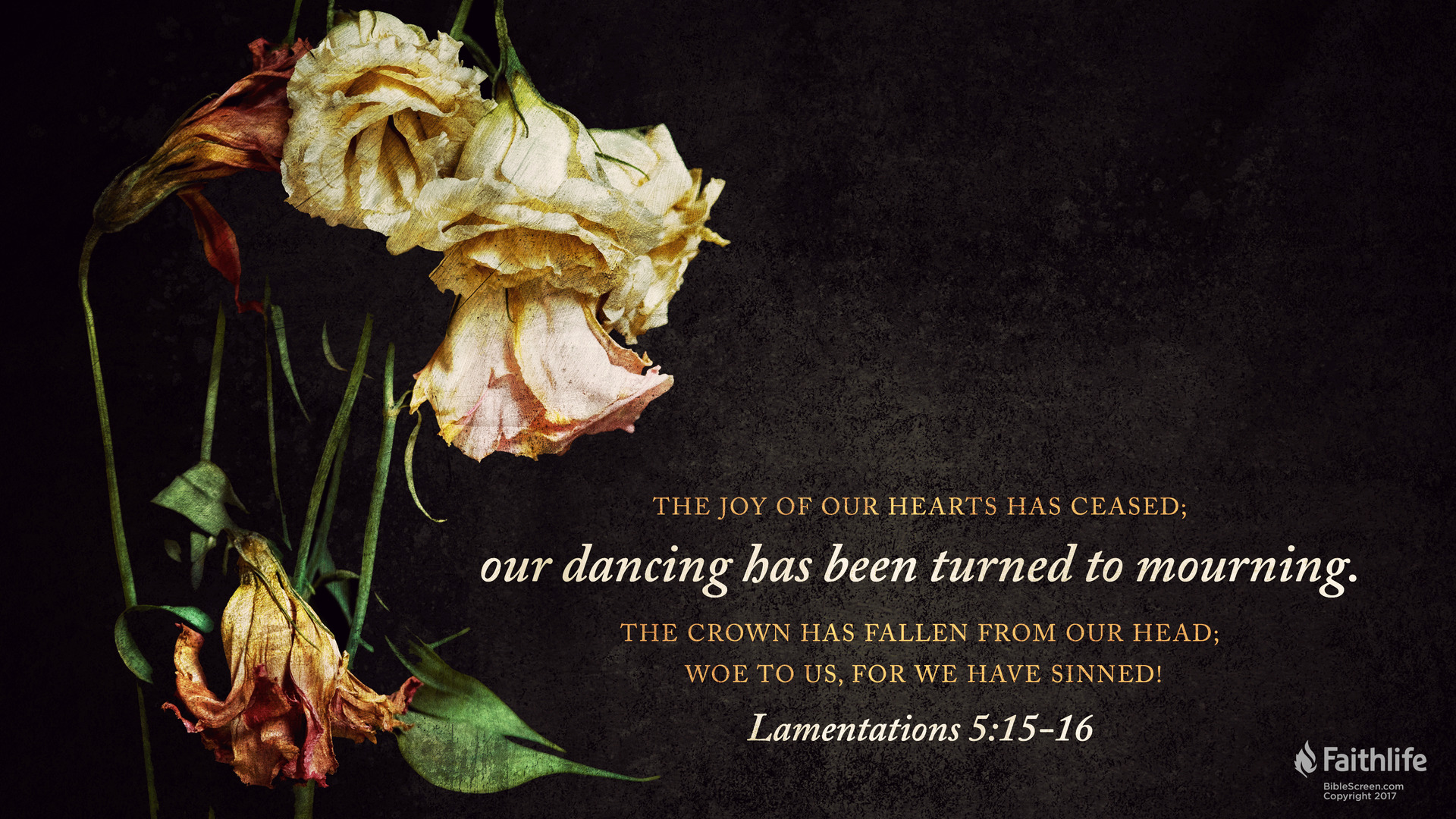 Lamentations 5:16